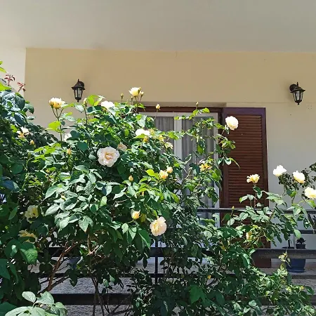 Serene *