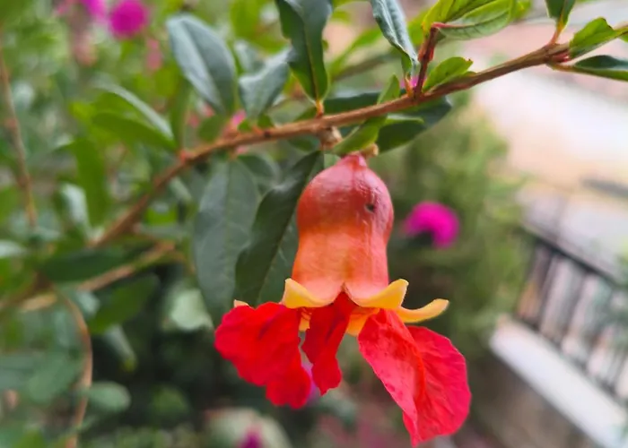 Serene Сasa de vacaciones Nauplia